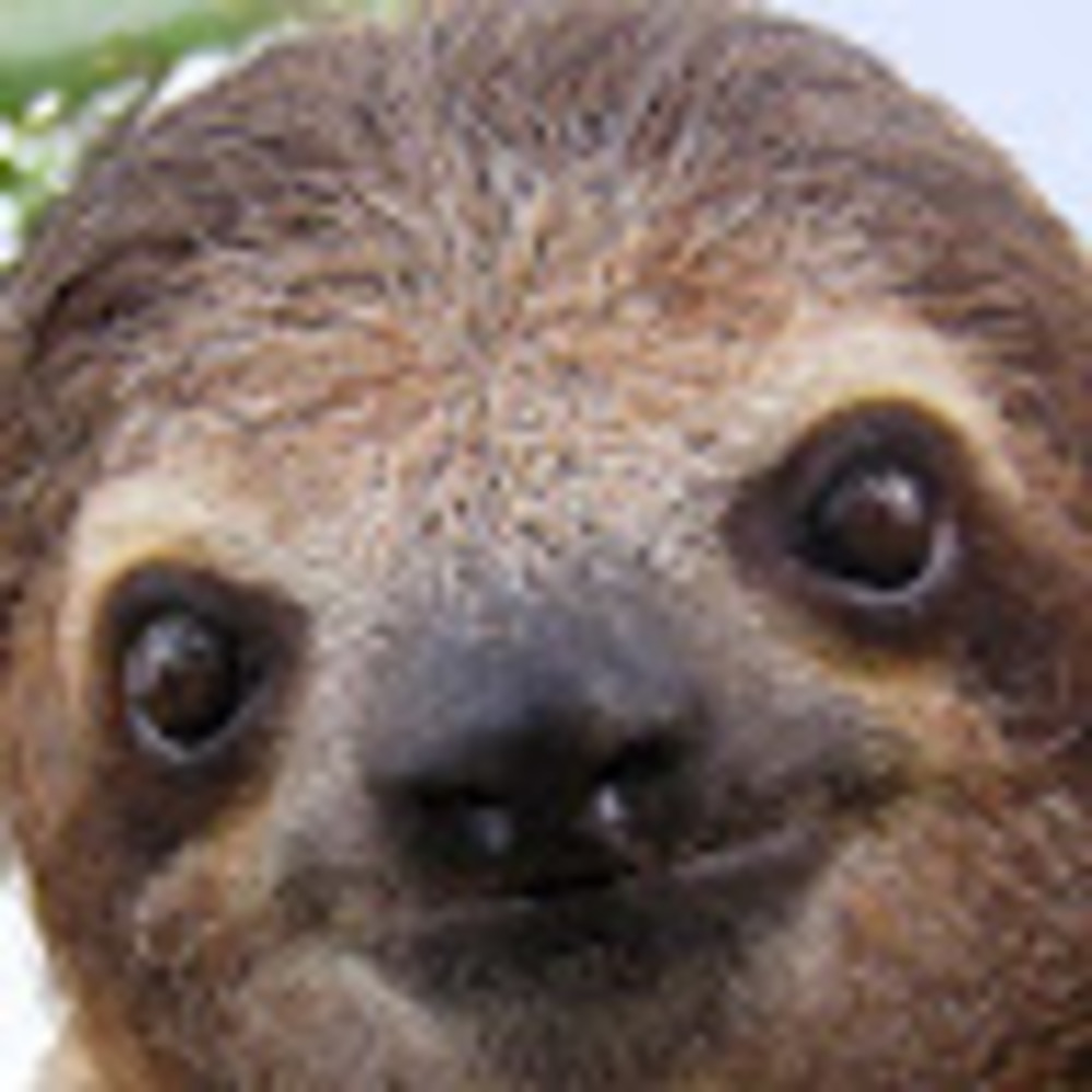 Meet your Posher, Vivian